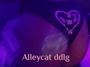 Alleycat_ddlg