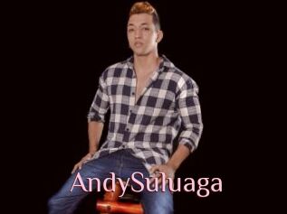 AndySuluaga