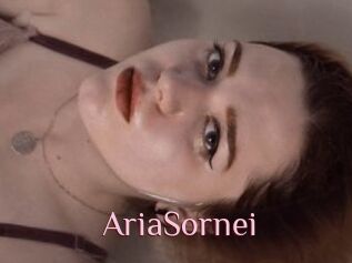 AriaSornei