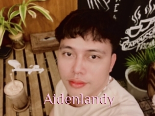 Aidenlandy
