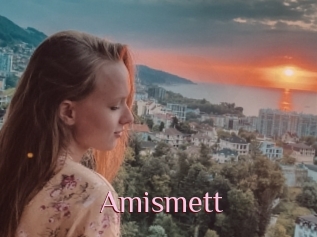 Amismett