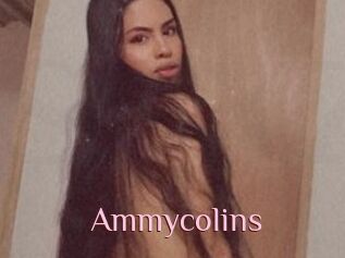 Ammycolins