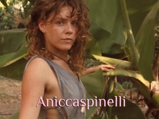 Aniccaspinelli