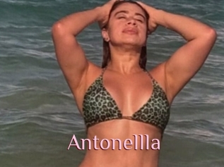 Antonellla