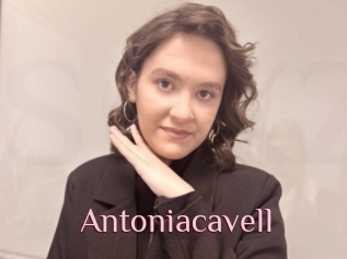 Antoniacavell