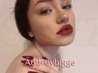 Audreybigge