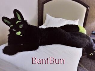 BaniBun