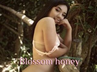 Blossom_honey
