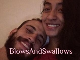 BlowsAndSwallows
