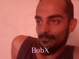 BobX