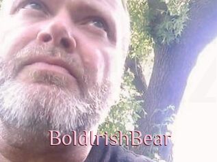 BoldIrishBear