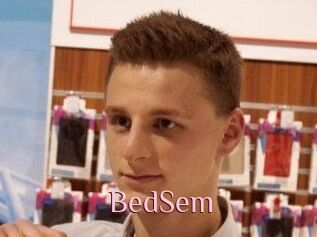 BedSem
