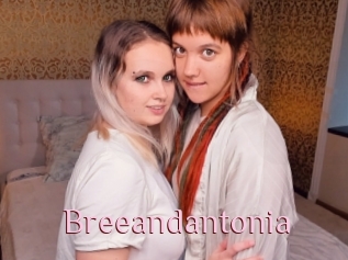 Breeandantonia