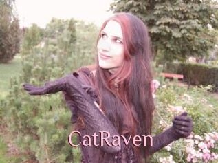CatRaven