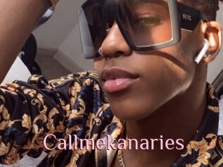 Callmekanaries