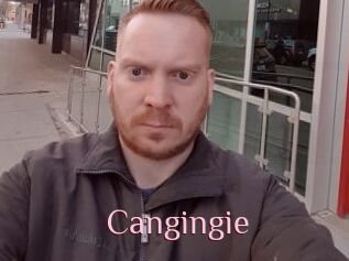 Cangingie