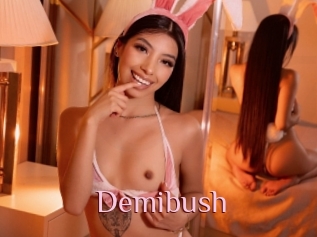 Demibush