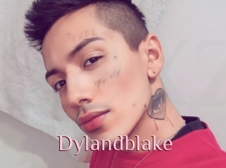 Dylandblake