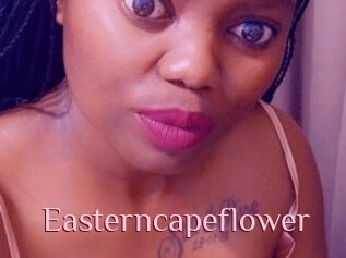 Easterncapeflower