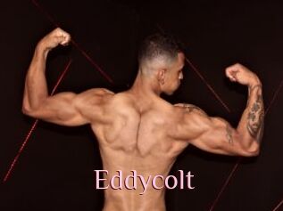 Eddycolt
