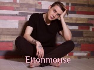 Eitonmouse