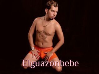 Elguazonbebe
