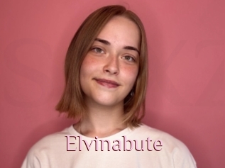 Elvinabute