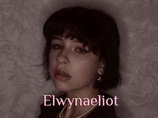 Elwynaeliot