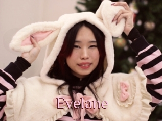 Evelane
