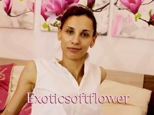 Exoticsoftflower