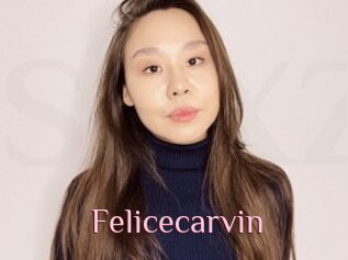 Felicecarvin