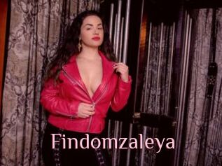 Findomzaleya