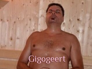 Gigogeert