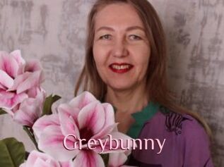 Greybunny