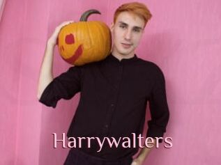 Harrywalters