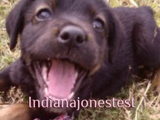 Indianajonestest