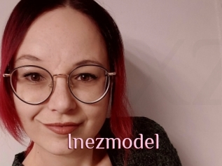 Inezmodel