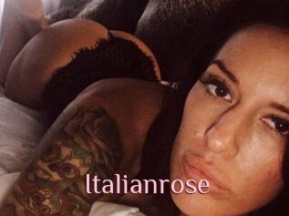 Italianrose