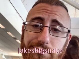 Jakesbigsnake