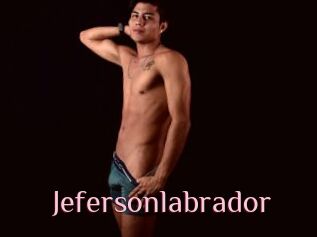 Jefersonlabrador