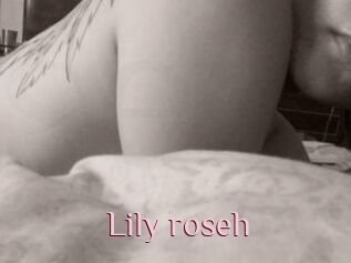 Lily_roseh