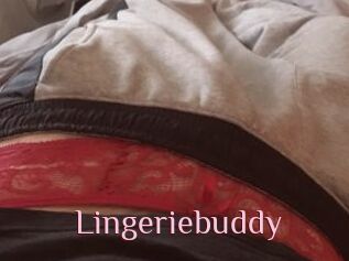 Lingeriebuddy