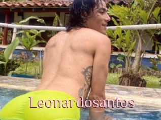 Leonardosantos