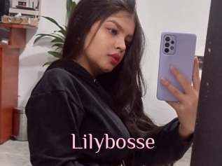 Lilybosse