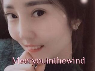 Meetyouinthewind