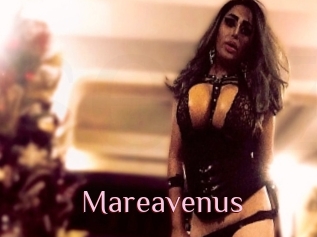 Mareavenus