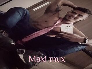 Maxi_mux