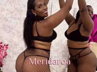 Meridaroa