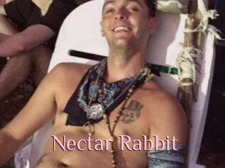 Nectar_Rabbit