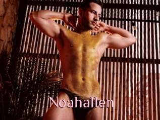 Noahallen
